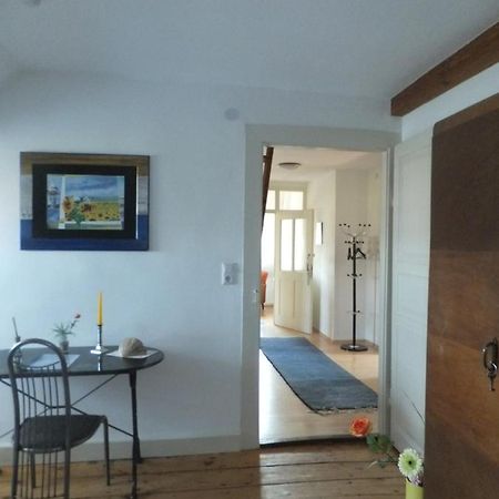 Ferienwohnung Im Zentrum 博登斯边的拉多夫采尔 外观 照片